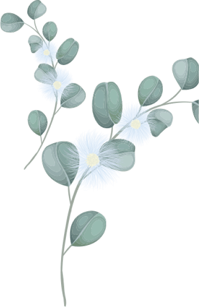 decoration